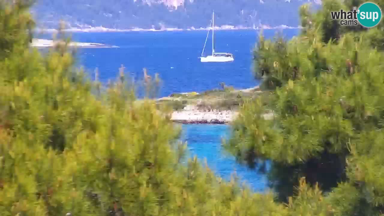 Lumbarda resort Webcam Korčula