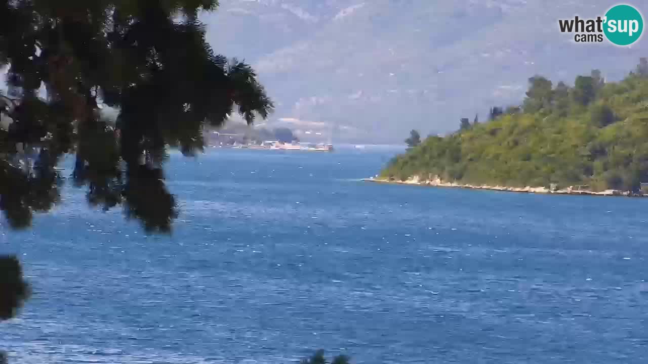 Lumbarda Resort live cam Curzola