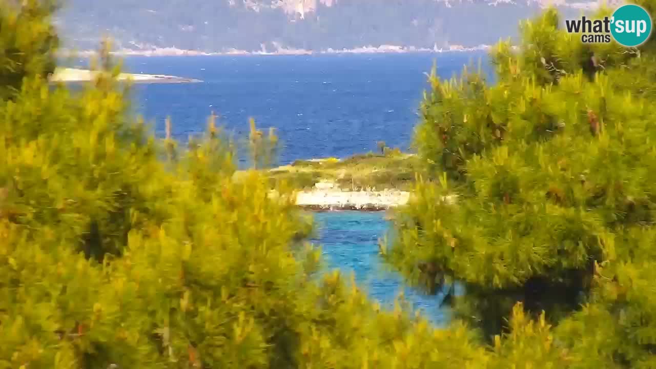 Lumbarda resort Spletna kamera Korčula