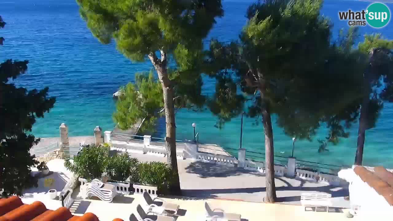 Lumbarda Resort webcam Kurzel