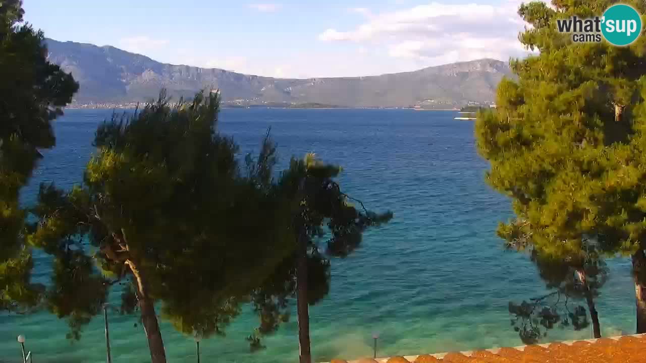 Lumbarda Resort camera en vivo Korčula