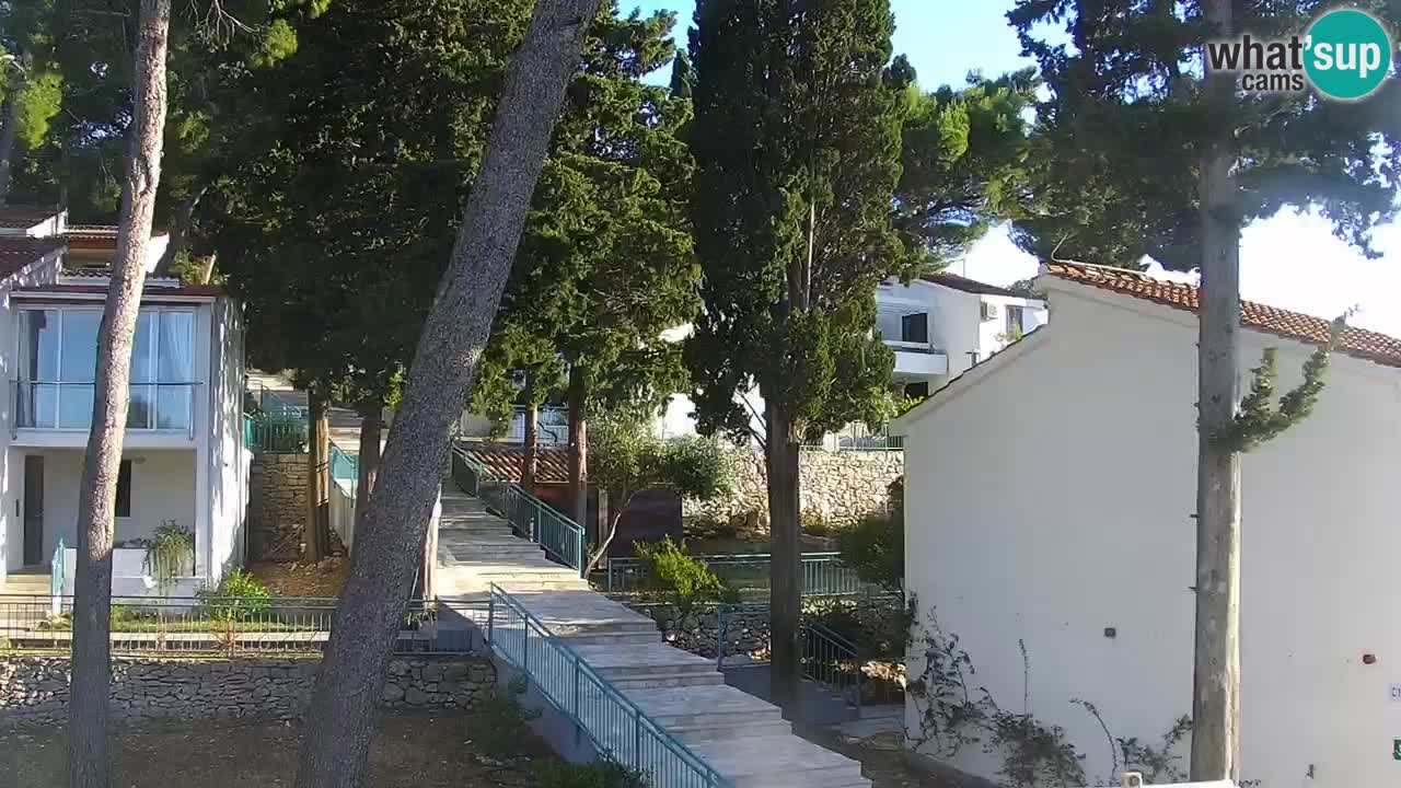 Lumbarda resort – livecam Korčula