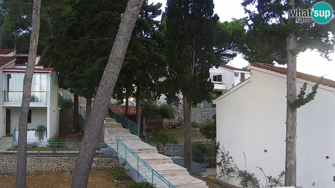 Lumbarda resort – livecam Korčula