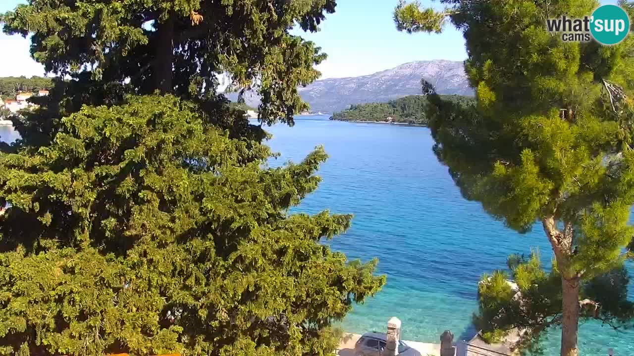 Lumbarda resort Webcam Korčula