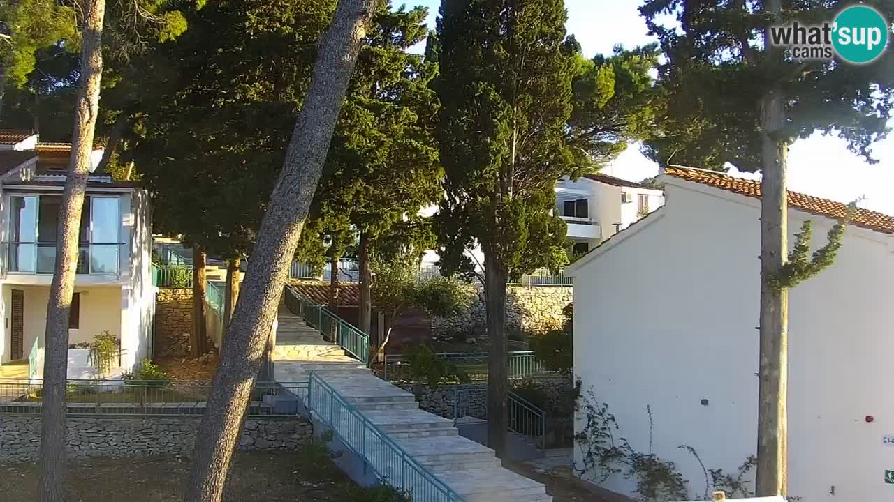 Lumbarda resort – livecam Korčula