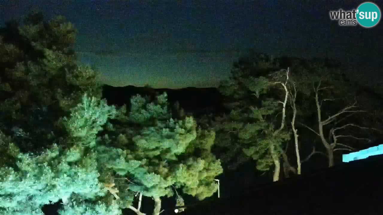 Lumbarda Resort webcam Kurzel