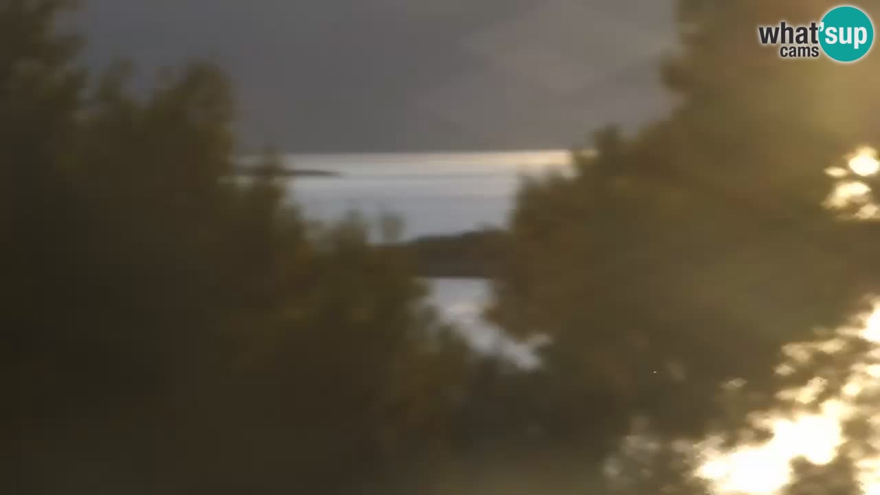 Lumbarda resort – livecam Korčula