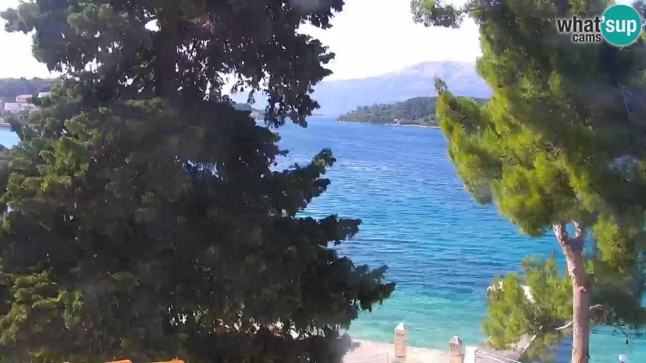 Lumbarda resort Webcam Korčula