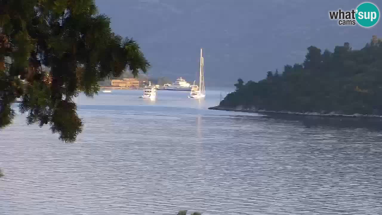 Lumbarda Resort camera en vivo Korčula