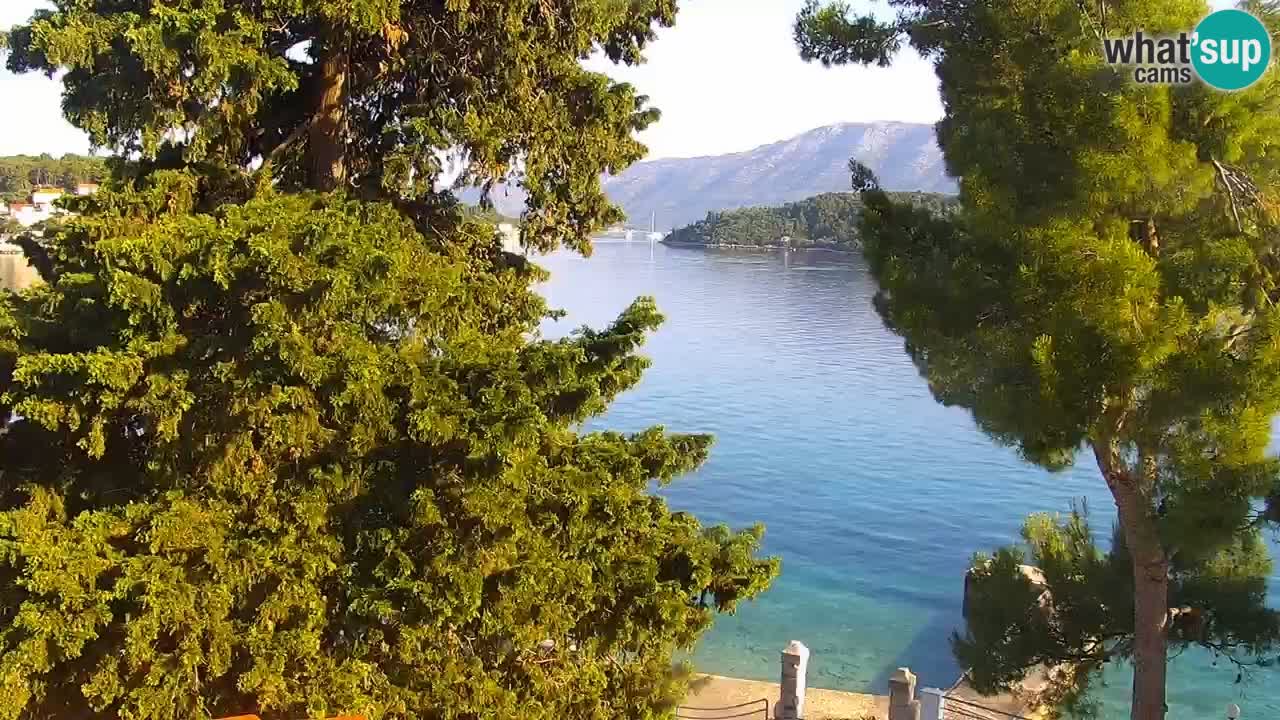 Lumbarda Resort camera en vivo Korčula