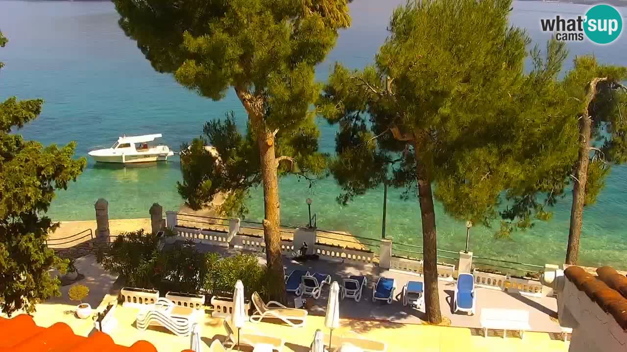 Lumbarda resort Webcam Korčula