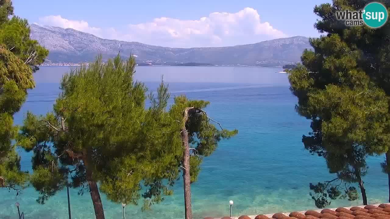 Lumbarda Resort live cam Curzola