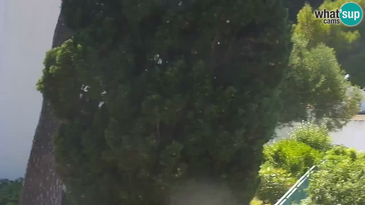 Lumbarda resort Webcam Korčula