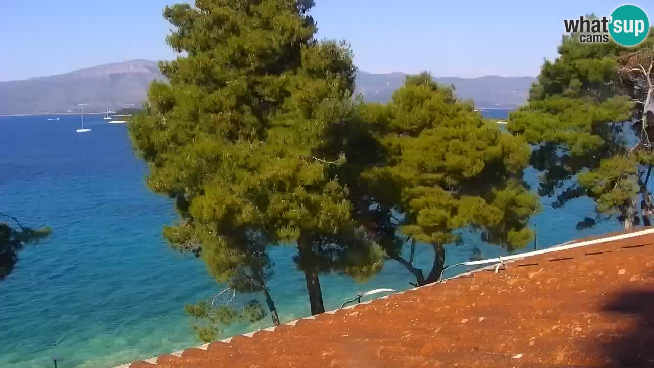 Lumbarda resort Webcam Korčula