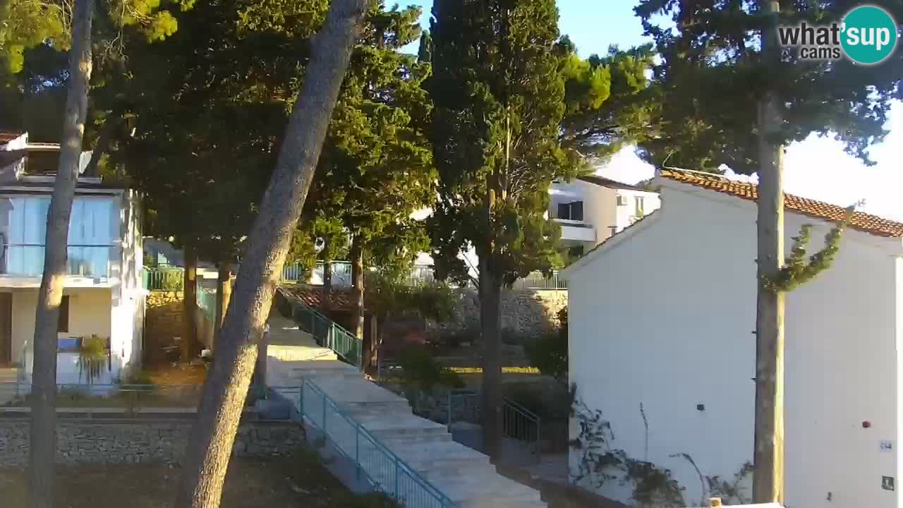 Lumbarda resort – livecam Korčula