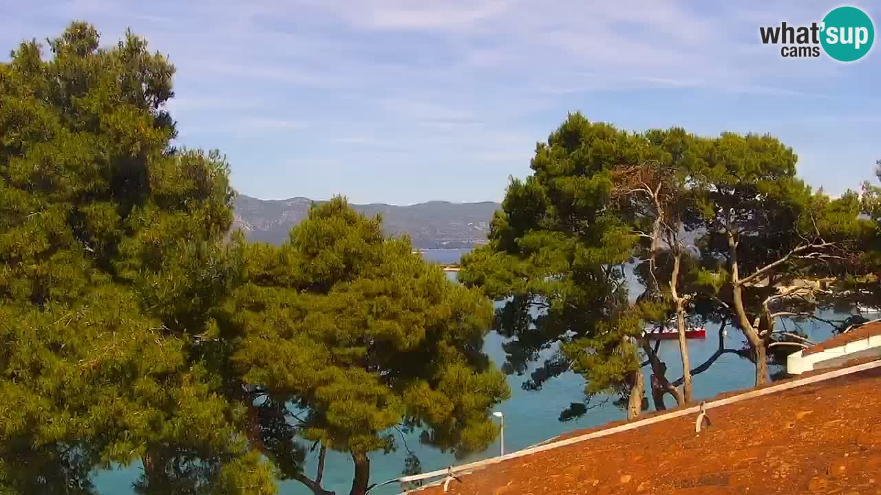 Lumbarda resort Webcam Korčula