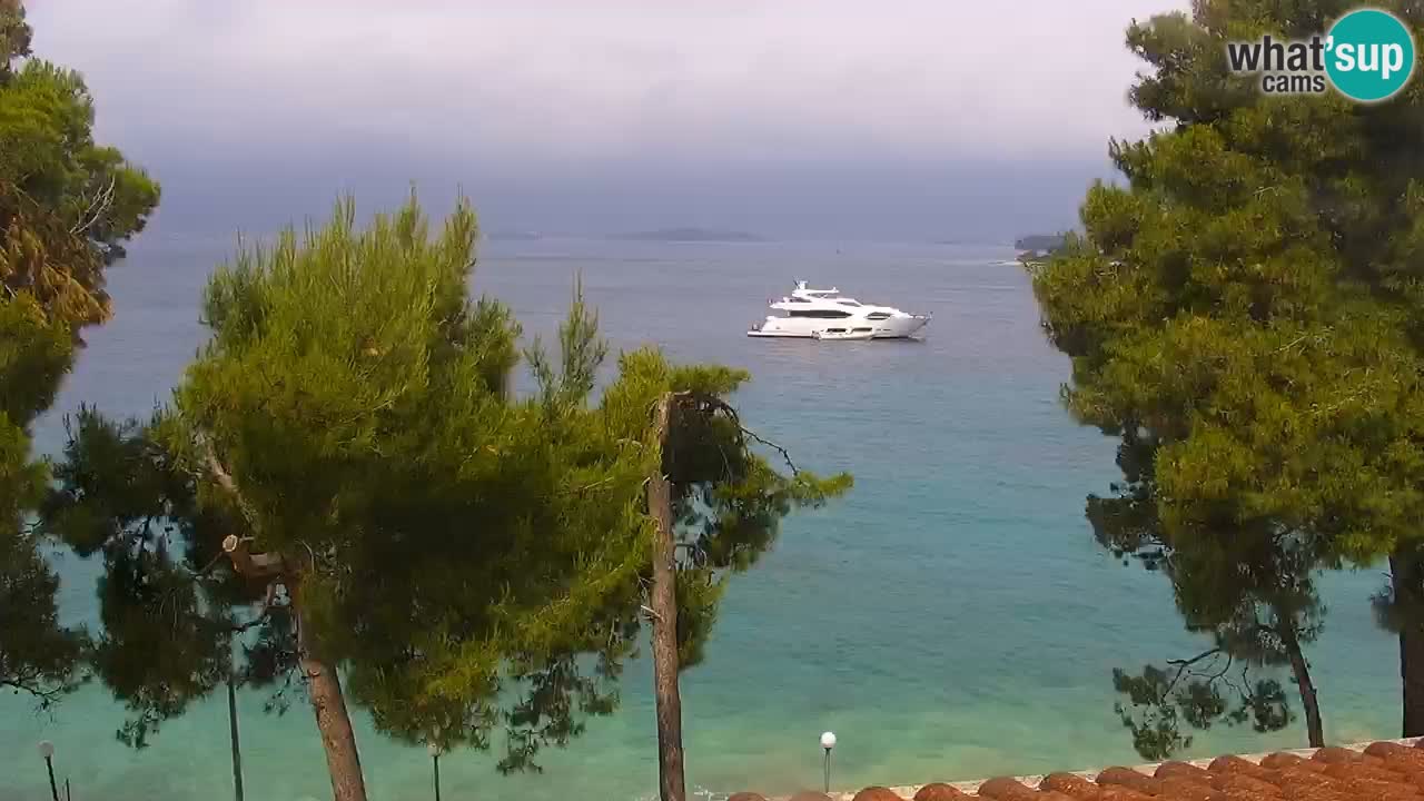 Lumbarda resort Webcam Korčula