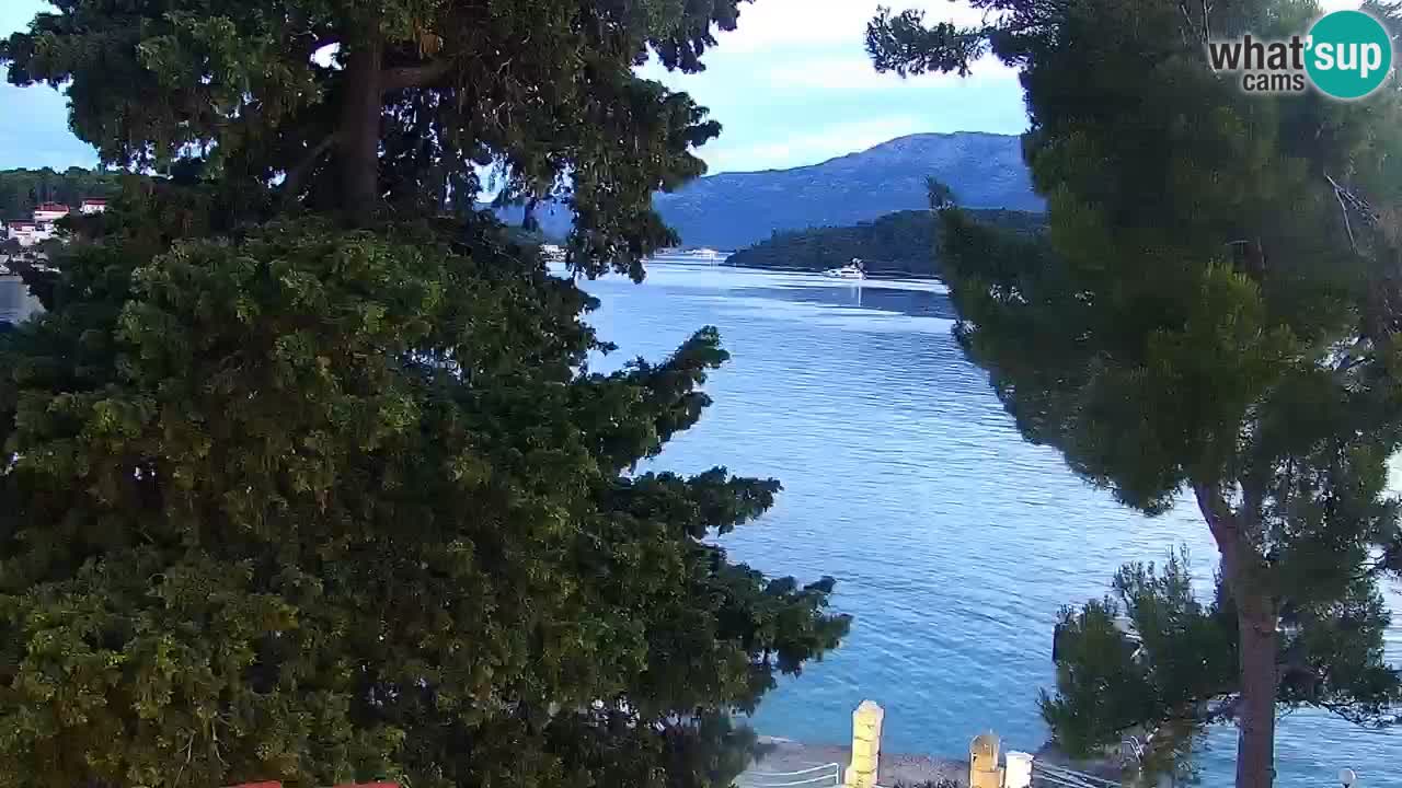 Lumbarda resort Web Kamera Korčula