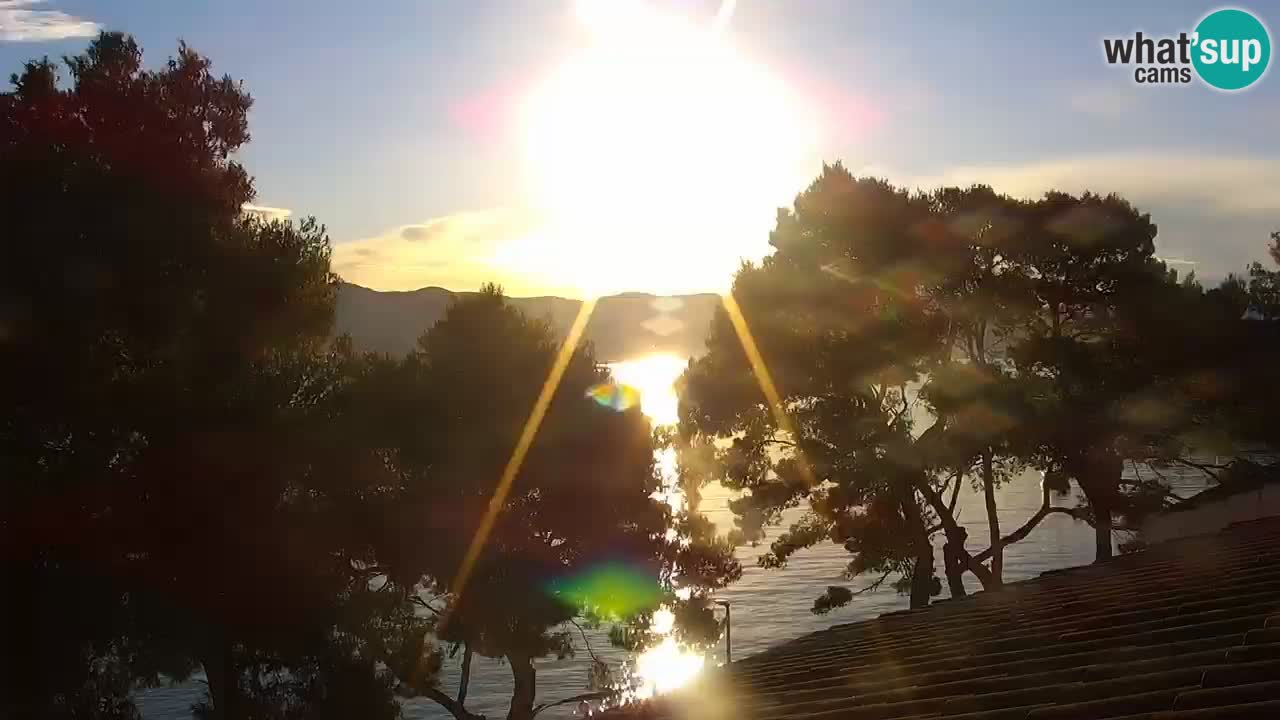 Lumbarda resort Webcam Korčula