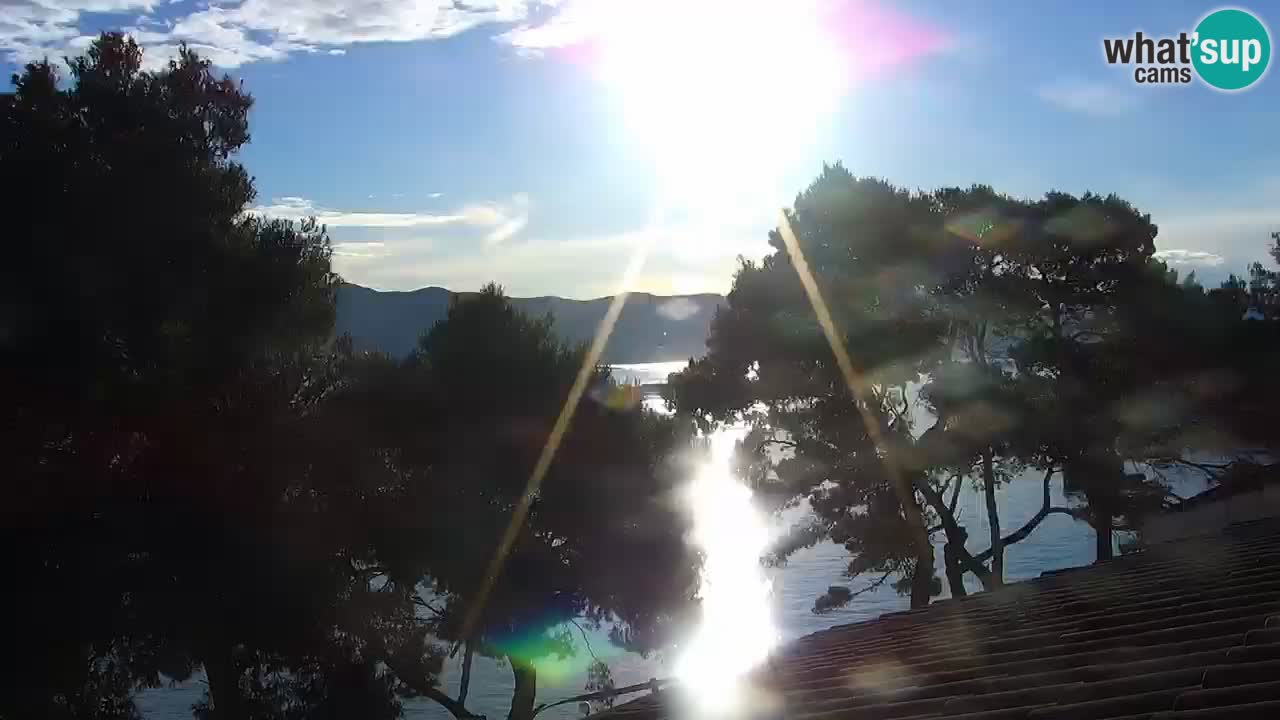 Lumbarda Resort live cam Curzola