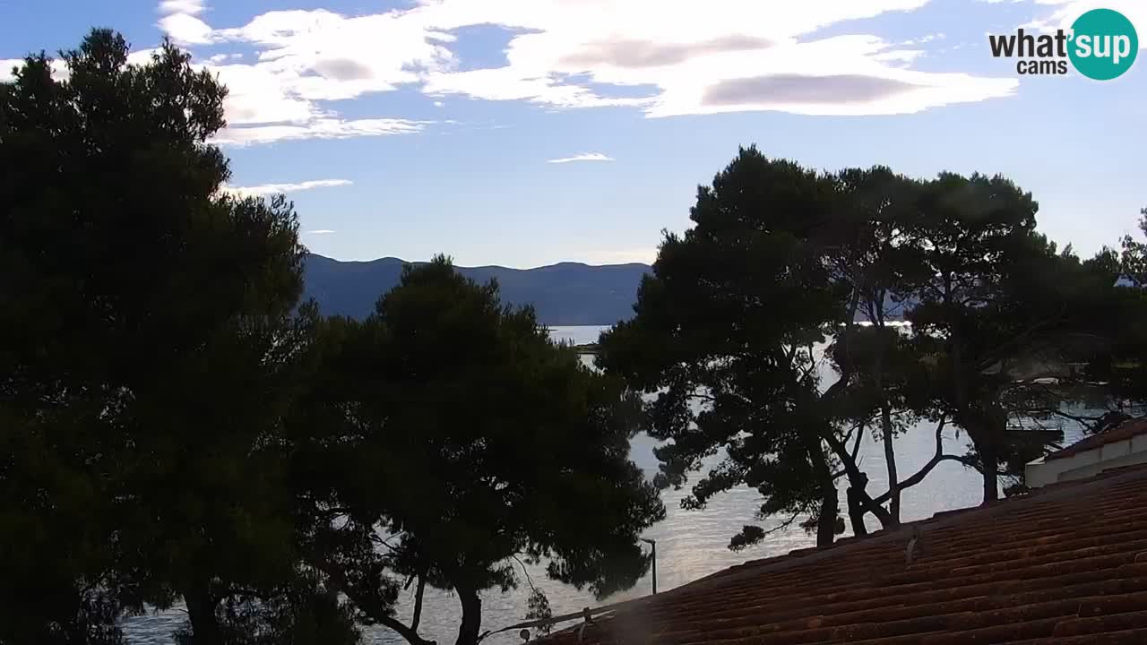 Lumbarda resort Web Kamera Korčula