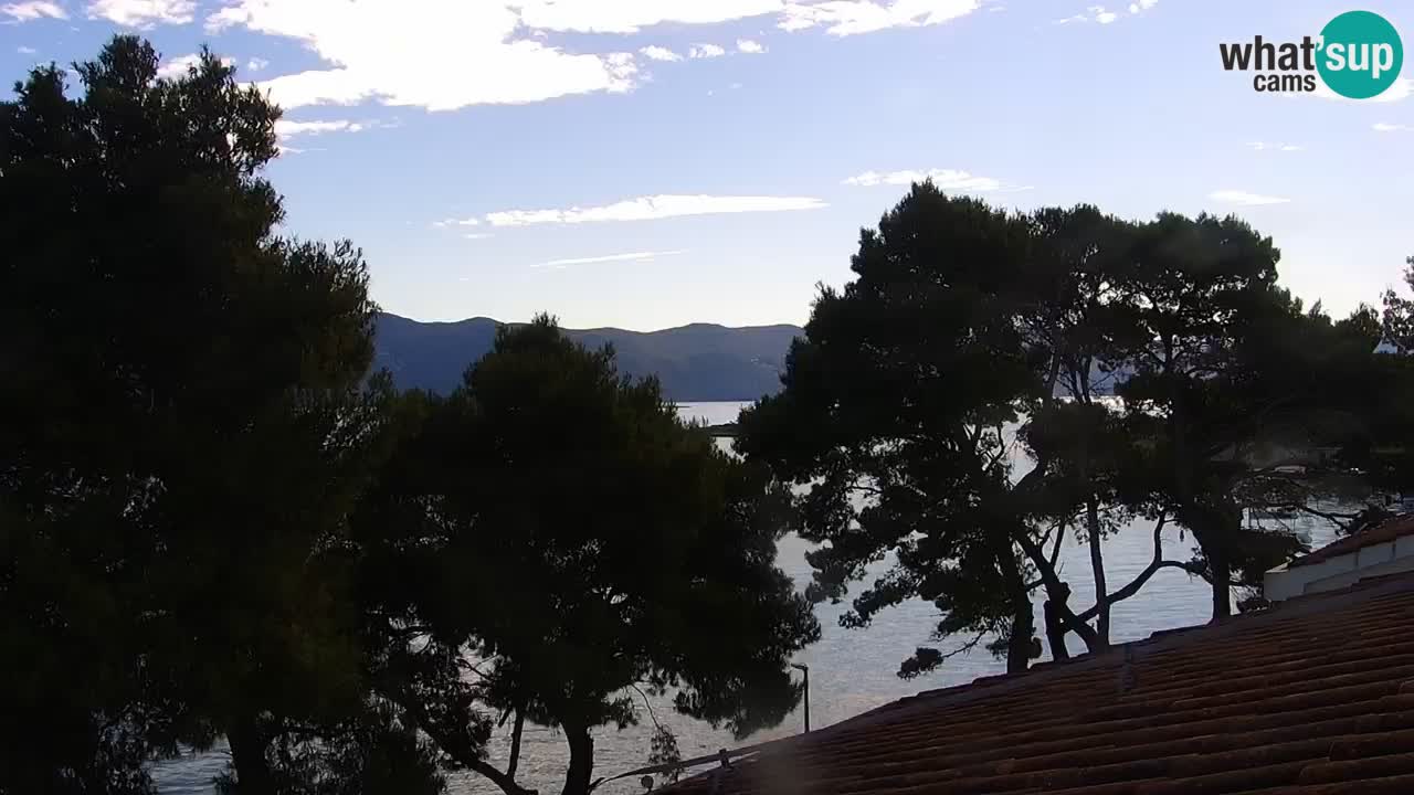 Lumbarda resort – livecam Korčula