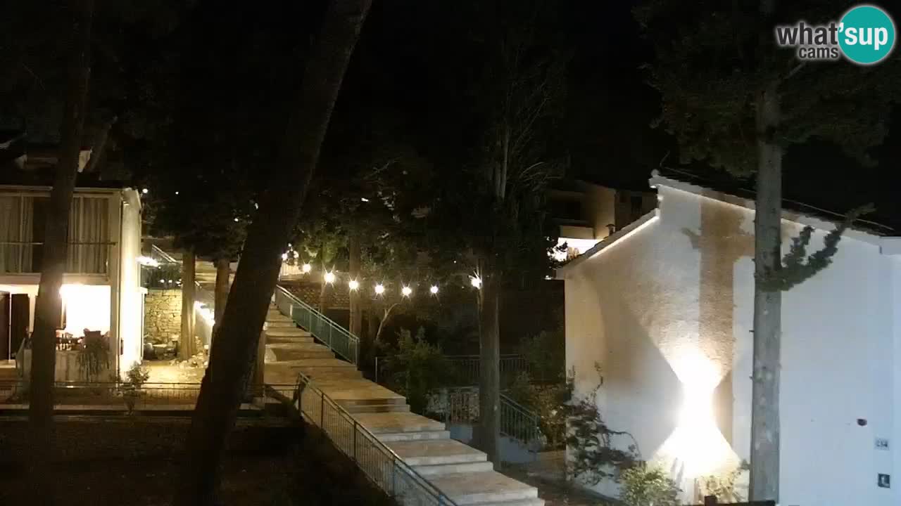 Lumbarda resort Webcam Korčula