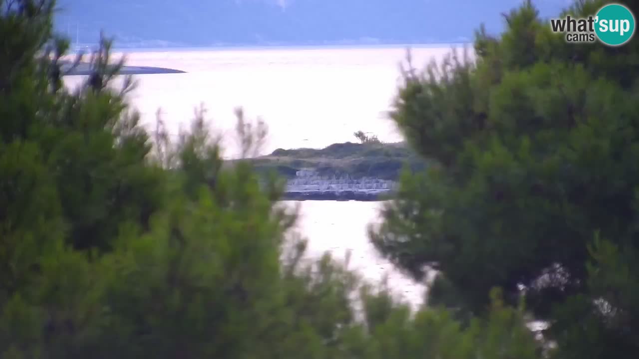 Lumbarda resort Webcam Korčula