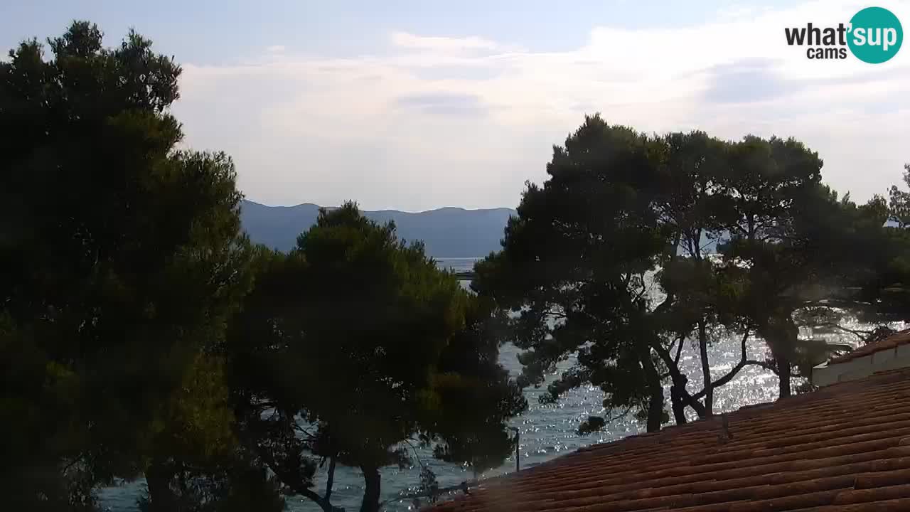 Lumbarda Resort live cam Curzola