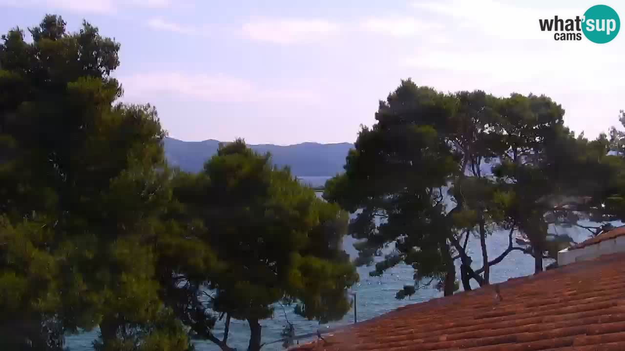 Lumbarda resort Web Kamera Korčula