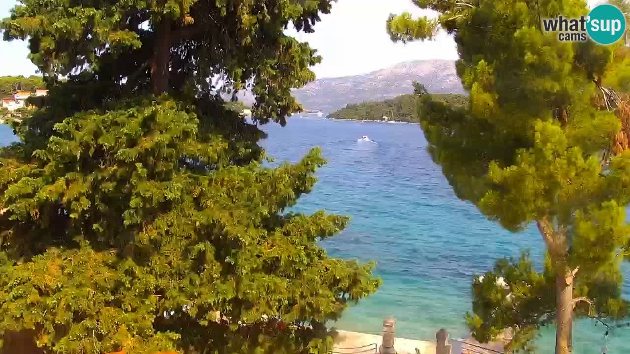 Lumbarda resort Web Kamera Korčula