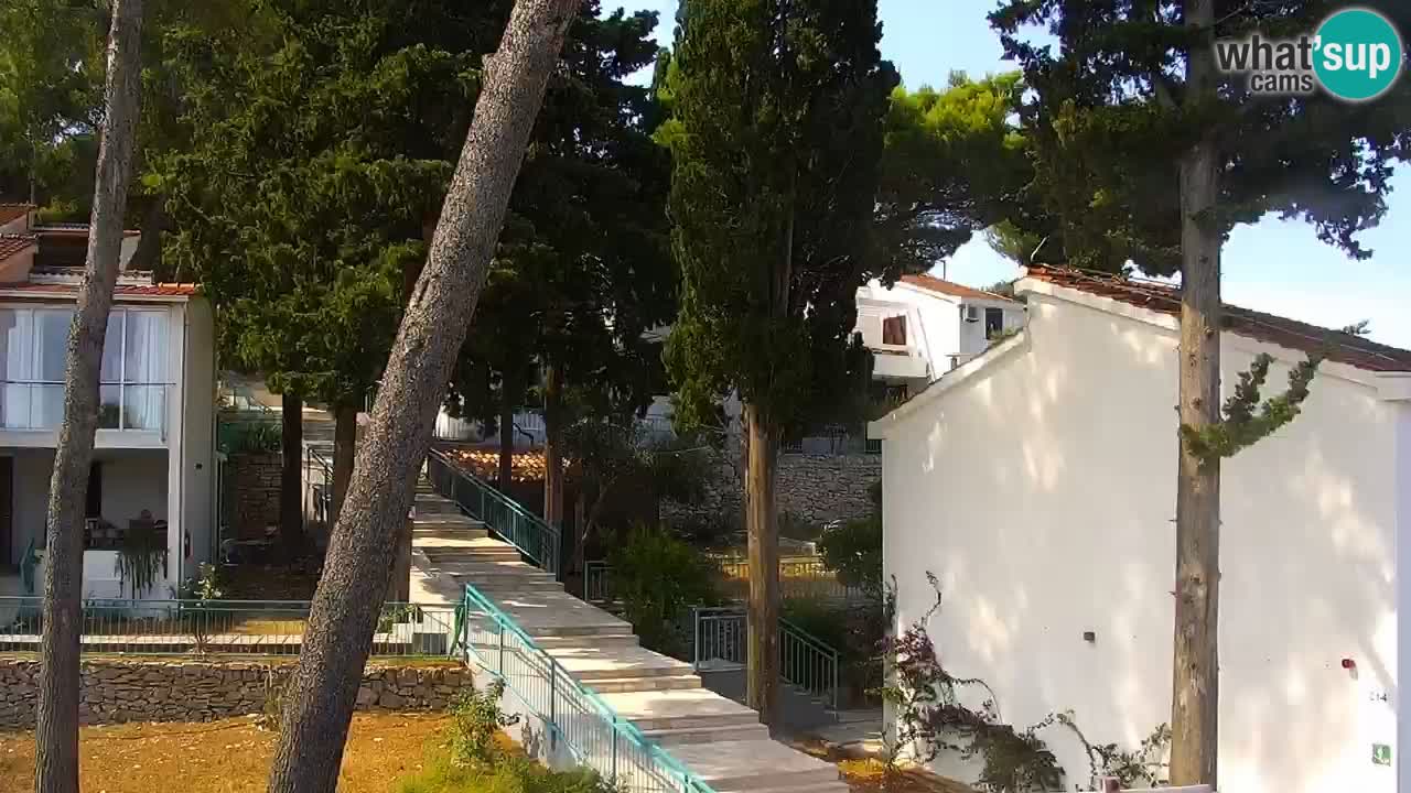 Lumbarda resort Web Kamera Korčula
