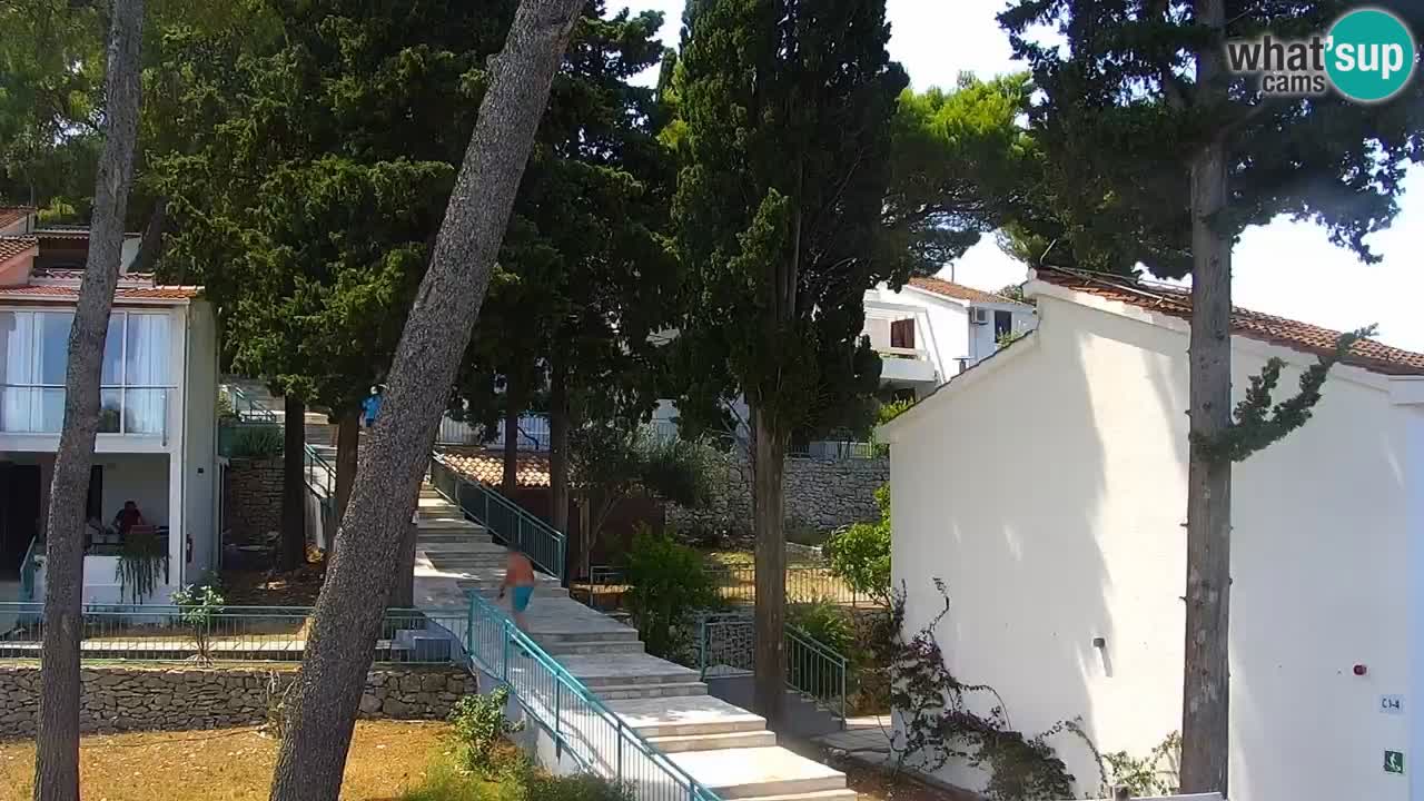 Lumbarda Resort camera en vivo Korčula