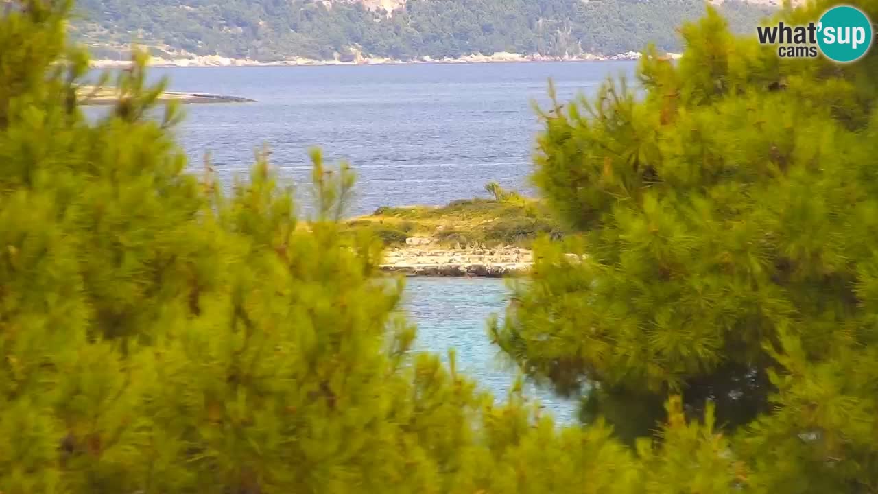 Lumbarda Resort webcam Kurzel