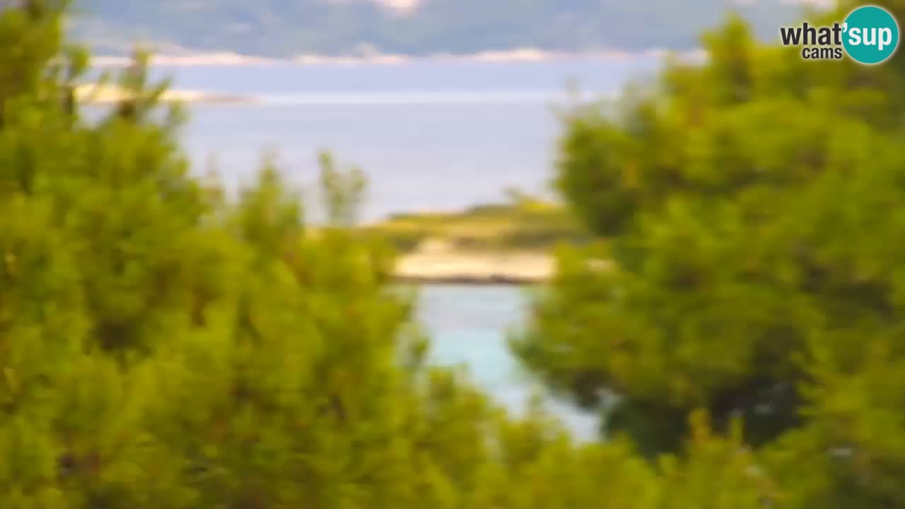 Lumbarda Resort camera en vivo Korčula