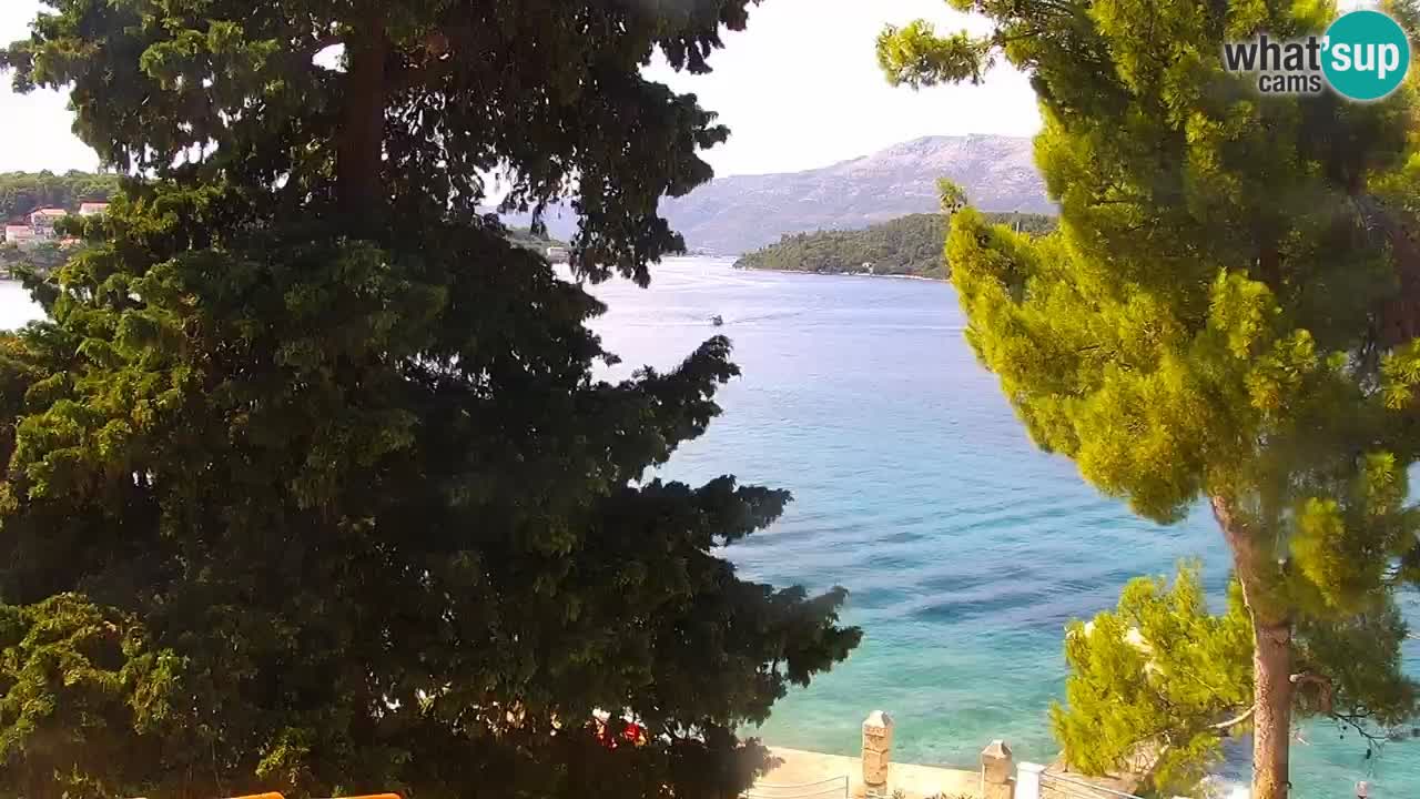 Lumbarda Resort camera en vivo Korčula