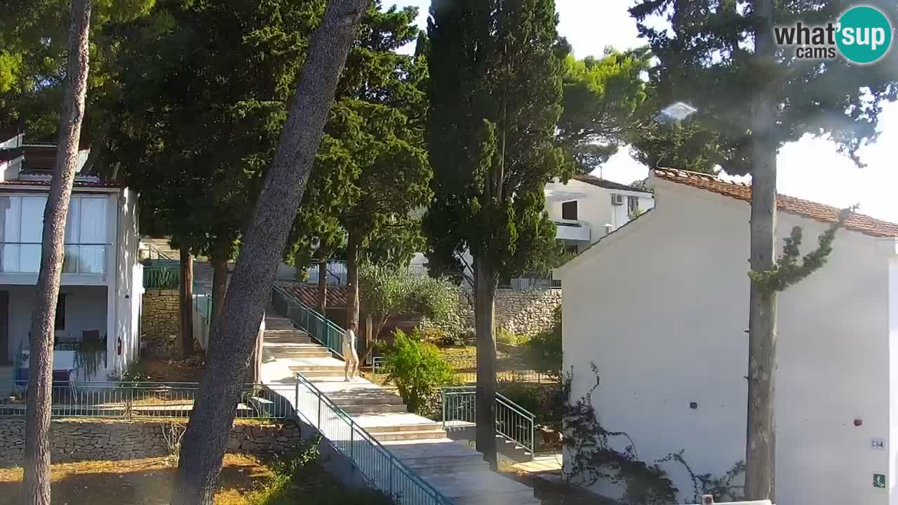 Lumbarda Resort webcam Kurzel