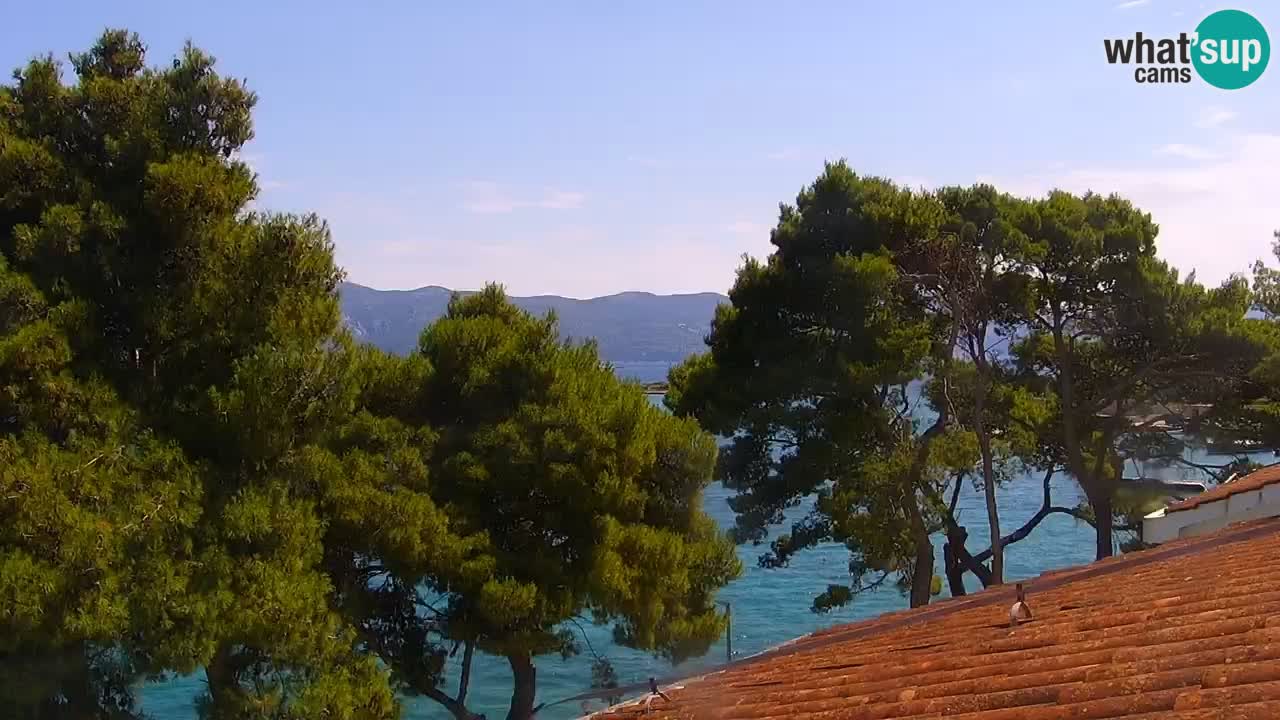 Lumbarda resort Webcam Korčula
