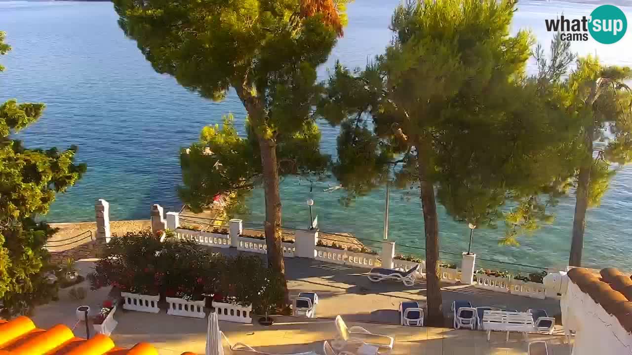 Lumbarda Resort camera en vivo Korčula
