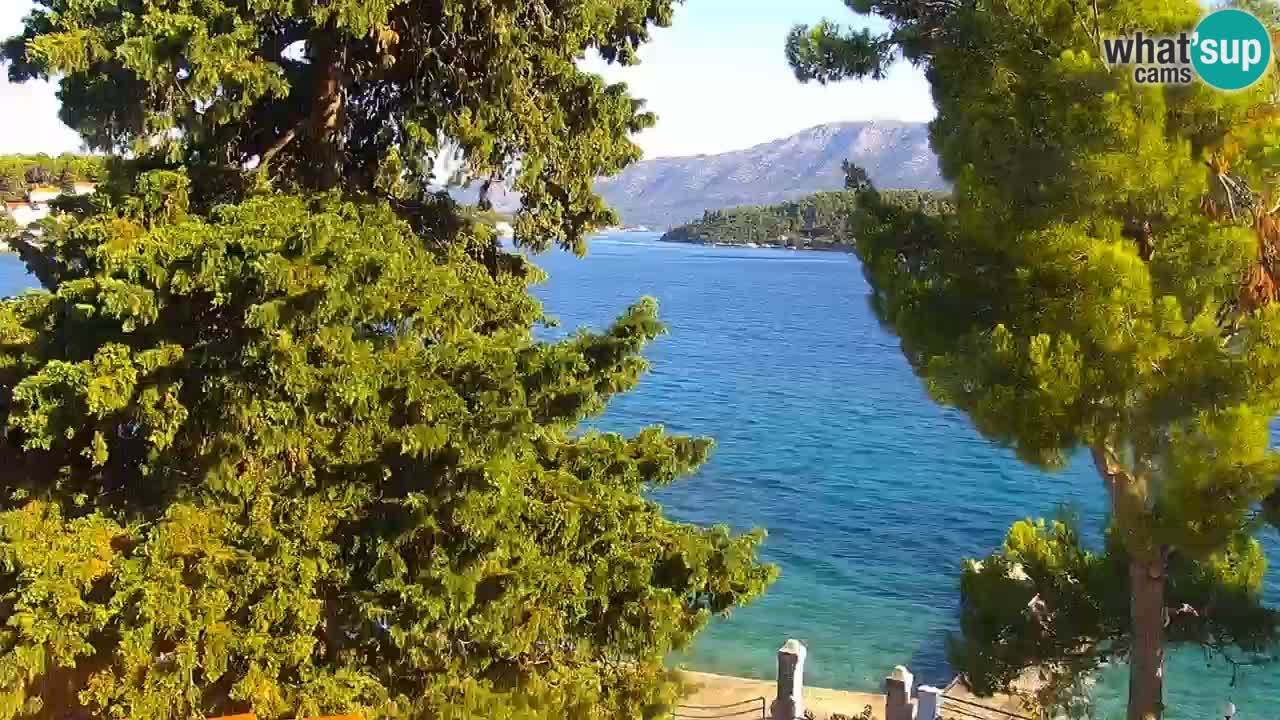 Lumbarda resort Webcam Korčula