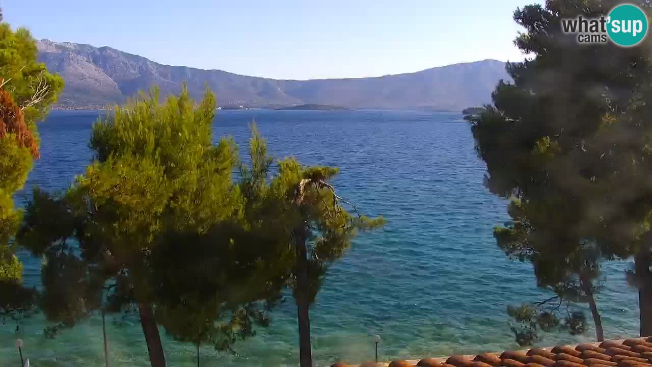 Lumbarda resort Webcam Korčula