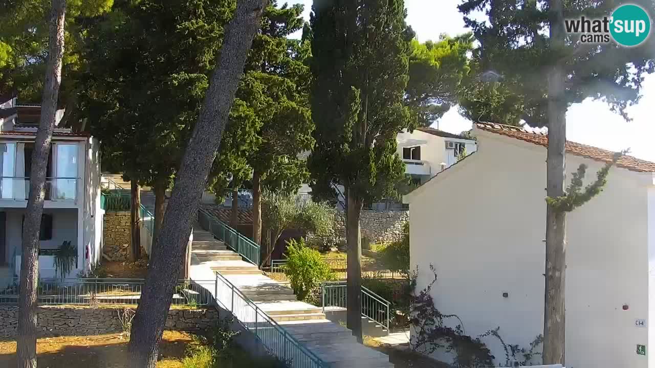 Lumbarda resort Web Kamera Korčula
