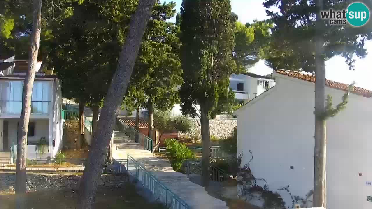 Lumbarda resort – livecam Korčula