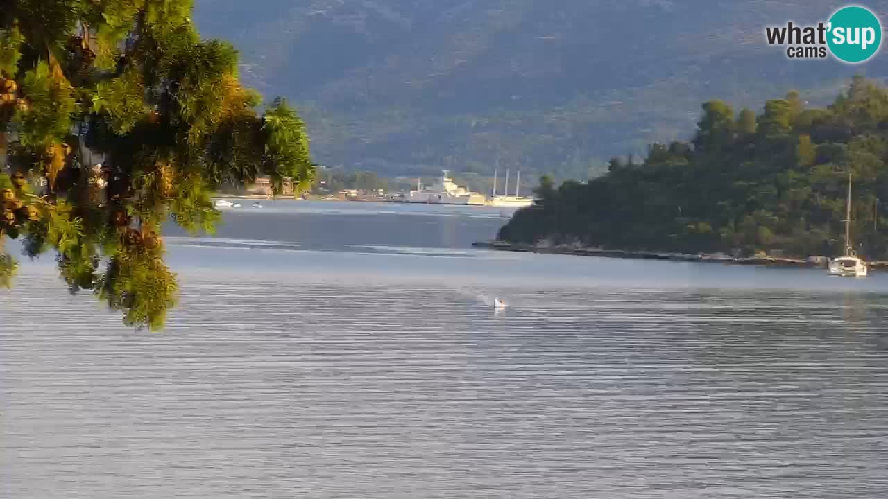 Lumbarda resort Spletna kamera Korčula