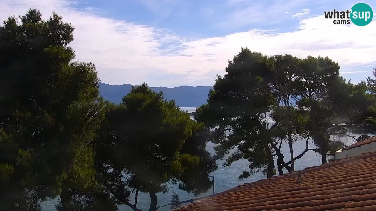Lumbarda Resort webcam Kurzel
