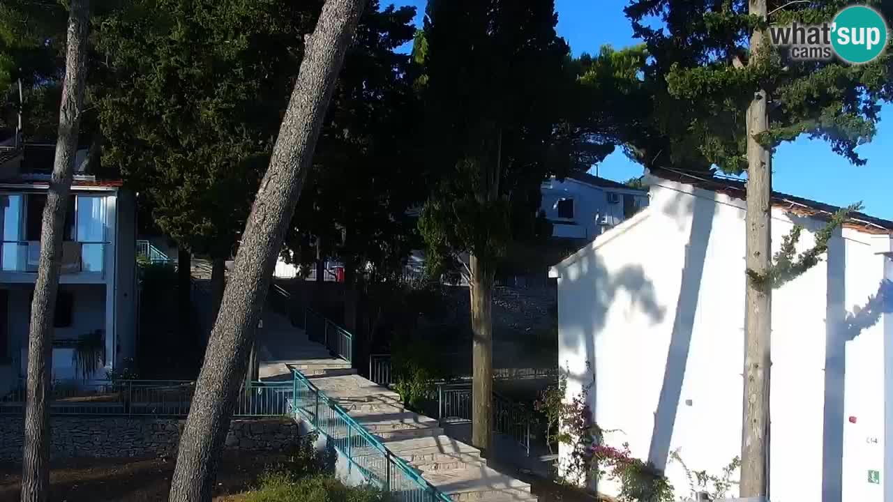 Lumbarda resort Webcam Korčula