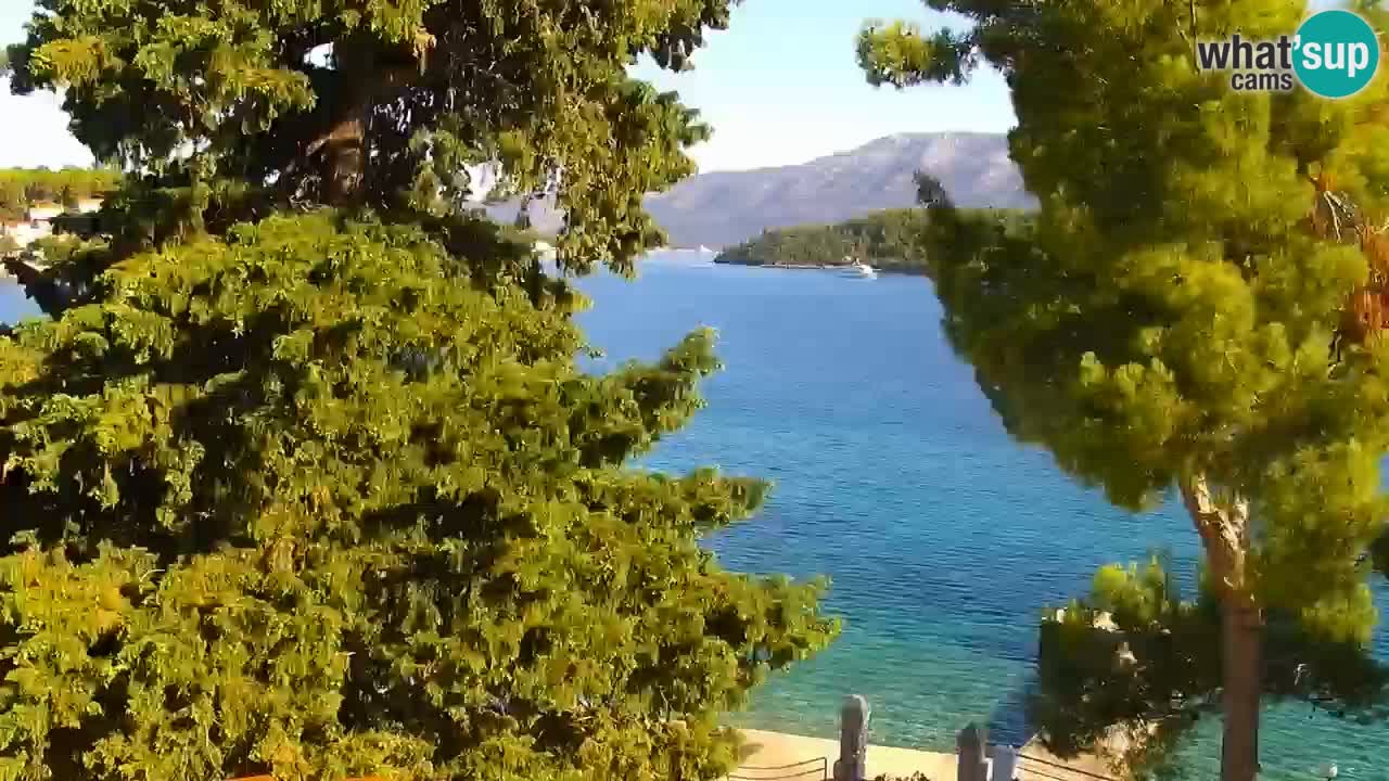 Lumbarda Resort webcam Kurzel