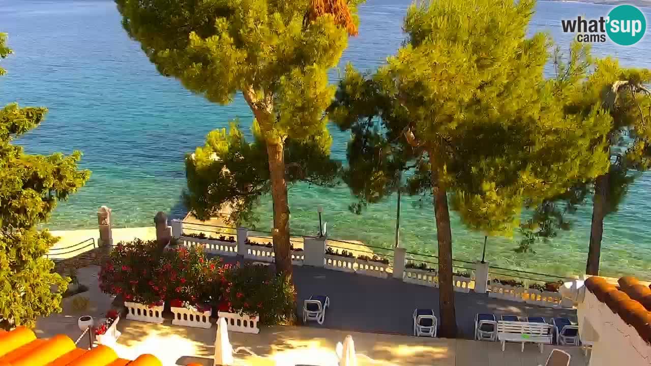 Lumbarda resort – livecam Korčula