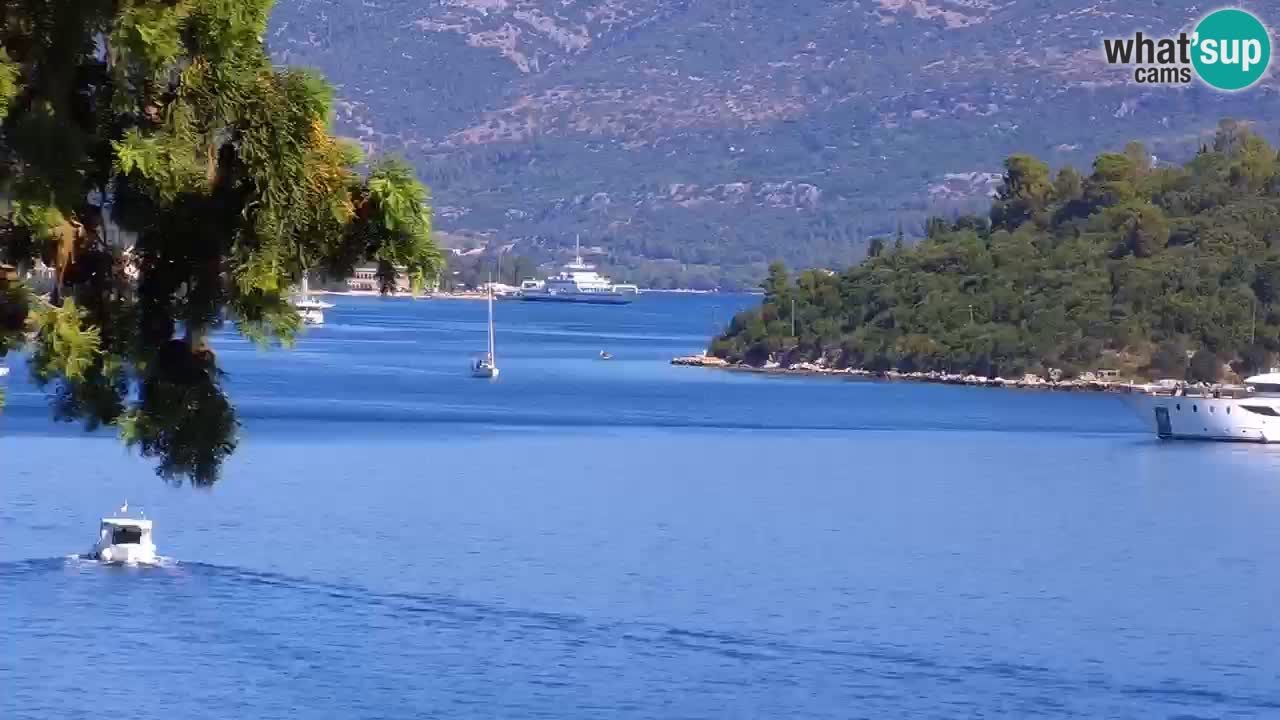 Lumbarda resort – livecam Korčula