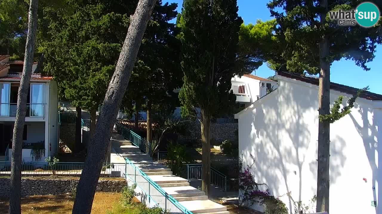 Lumbarda resort Spletna kamera Korčula